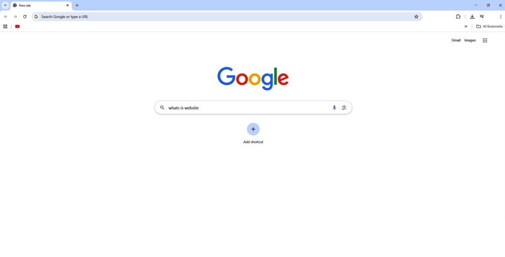 What is a Website?